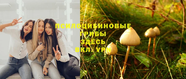гидра Протвино